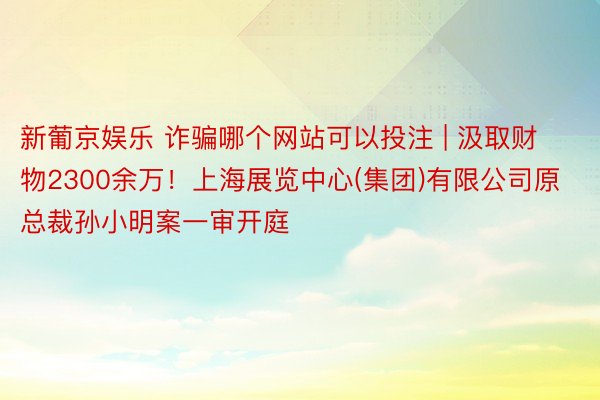 新葡京娱乐 诈骗哪个网站可以投注 | 汲取财物2300余万！上海展览中心(集团)有限公司原总裁孙小明案一审开庭