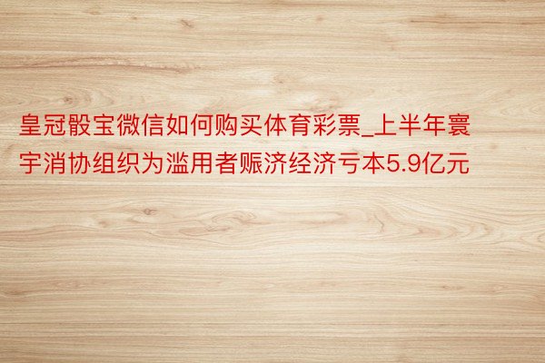 皇冠骰宝微信如何购买体育彩票_上半年寰宇消协组织为滥用者赈济经济亏本5.9亿元